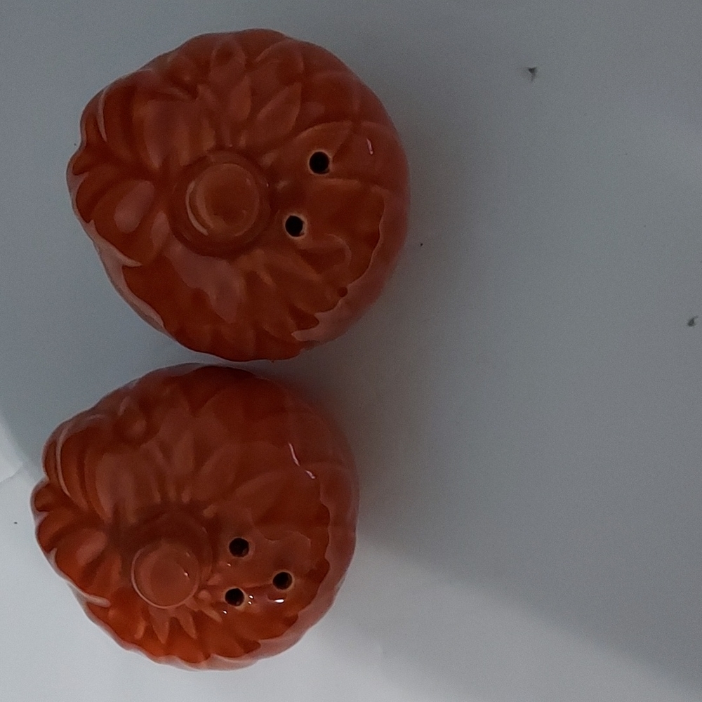Acorn Salt and Pepper Shakers Color Orange.